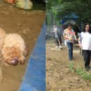 송이무료급식소 이미지