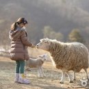 초원목장 이미지