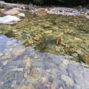 갈론펜션 이미지