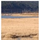 강변펜션 | 자연 속에서 즐기는 진짜 힐링 여행 가성비좋은펜션 청도강변돌고래펜션 본채 후기