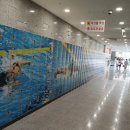 보성 다향체육관 이미지