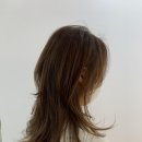 파니샵