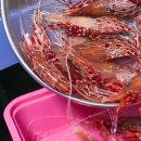 영번지분식 | 시청자가 뽑은 외식하고 싶은 맛집 BEST 5