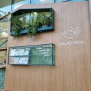 샐러드팡 이미지