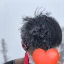 국립기상연구소입구3가 3 | 가을 겨울 다 볼 수 있었던 한라산 첫눈 후기