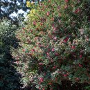 동백공원 공영주차장 내 이미지