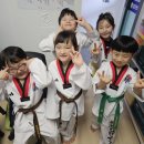 용인대단재태권도 이미지