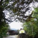 다금식당 이미지