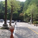 만인산 만인사 이미지