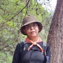 ♡ 아시아드대장님 공덕산 둘레길,연꽃소류지,홍법사(2026.7.6.월) 이미지