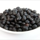 터미널 안경 이미지