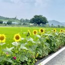 청양 2리 이미지