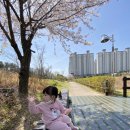 양덕 물빛공원 이미지