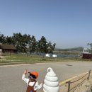 송아목장 | 2024년 4월, 상하농원 파머스 빌리지