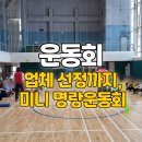 명랑유치원 | 운동회 종목부터 업체 선정까지, 미니 명랑운동회 이렇게 준비하면 ‘찢습니다’
