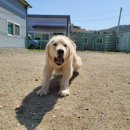 옳치 올치 이미지