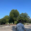 가을 숲으로 놀러가자 | 일상ㅣ가을 데이트코스로 추천하는 서울어린이대공원 놀이동산 후기