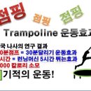 서지오헤어