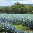 잉카의작은마을 이미지