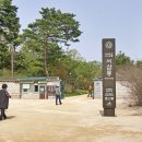 녹색목장 이미지