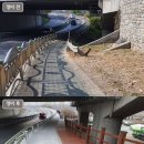 면목동-168 헤럴드경제
