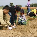 사진으로보는뉴스(04.25) 이미지