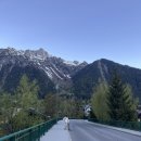 왕새농장부화장 | [chamonix] 집으로! 샤모니에서 제네바공항 플릭스버스 | 제네바 공항 혼잡도 | 핀에어 경유