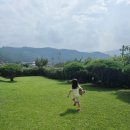 도화 민박 이미지