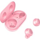 버즈 카카오 검색결과