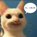 크로스핏 고 이미지