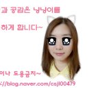 뮤지컬 「오 당신이 잠든 사이」 | 대학로 공연 추천 뮤지컬 오 당신이 잠든 사이 공연후기