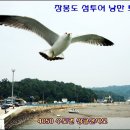 장봉도 섬투어 트래킹 이미지