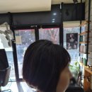 지안헤어스쿨