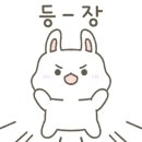 테디스베이글
