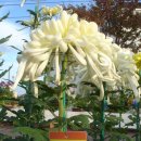 함창초등학교 이미지