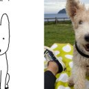 종로-현장-종로-세-205 이미지