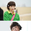 하니네 이미지