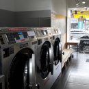 진아리채세탁 이미지