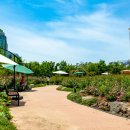 장미 공중화장실 이미지