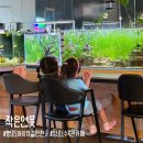 [작은연못] 영종도 아이와 가기 좋은 실내 수족관카페