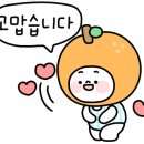 제주노을보리 이미지