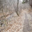 금호강1 이미지