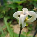 화포농장 이미지