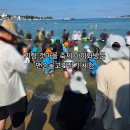 (사)부산시기장군장애인협회 | 25.8.1 금요일 기장 갯마을축제 주차팁 맨손물고기잡기 등 아이와방문후기