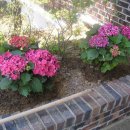 파라다이스민박 이미지