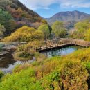 창수상회 이미지