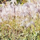 선자농장 이미지