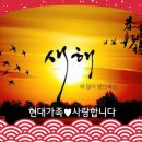 키즈 태권도 현대체육관 이미지