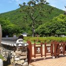 나무새 관광농원 이미지