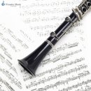 클라리넷 집중레슨 이미지